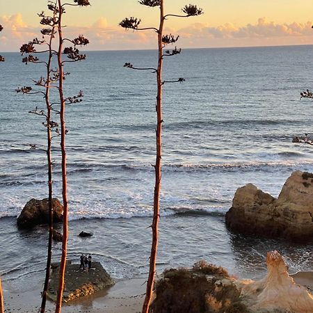 Apartamento Da Avo Te - Em Frente A Praia C Piscina Portimao Bagian luar foto