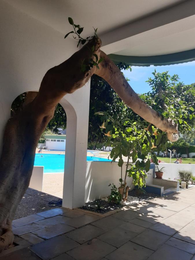 Apartamento Da Avo Te - Em Frente A Praia C Piscina Portimao Bagian luar foto