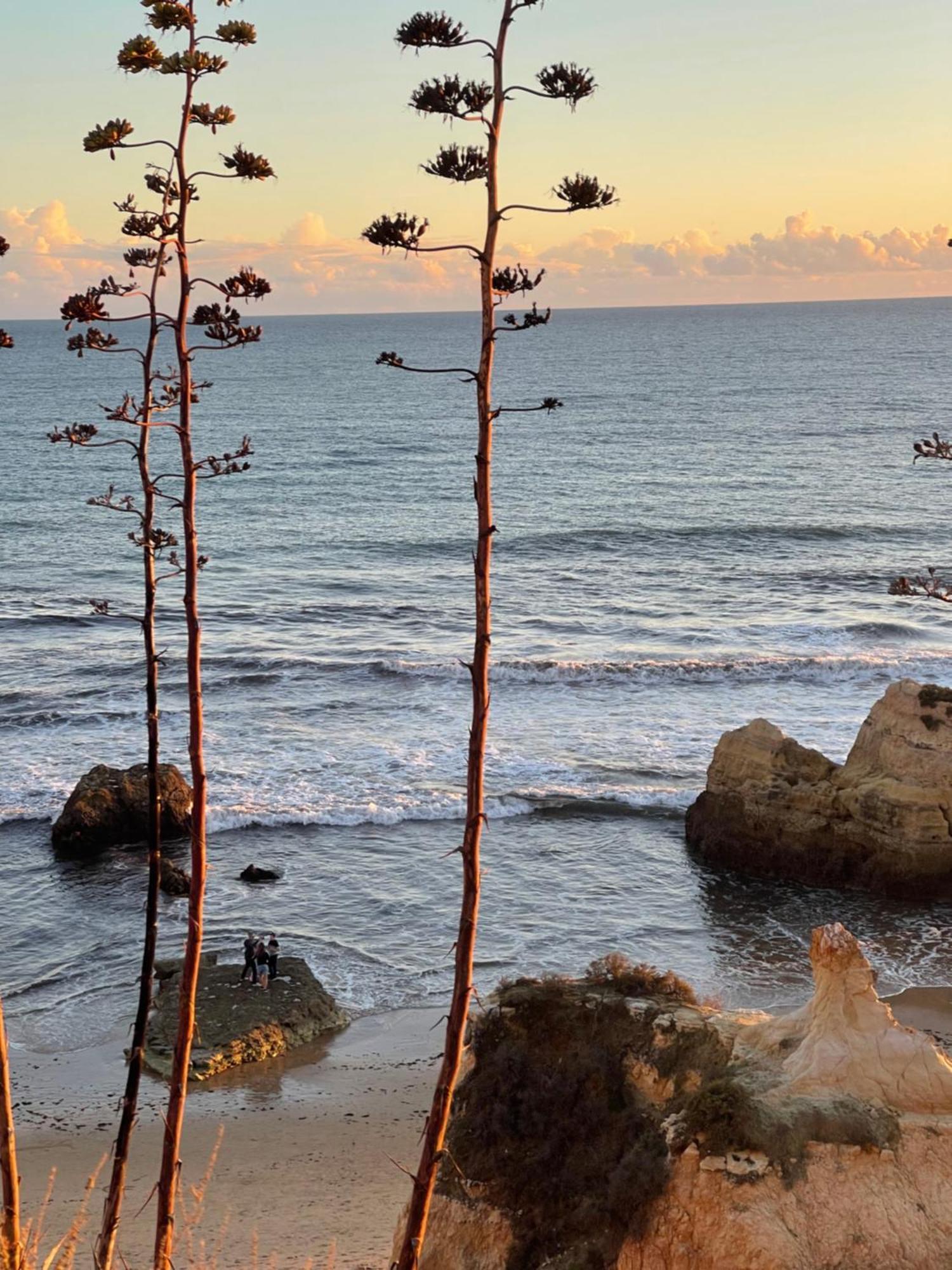 Apartamento Da Avo Te - Em Frente A Praia C Piscina Portimao Bagian luar foto